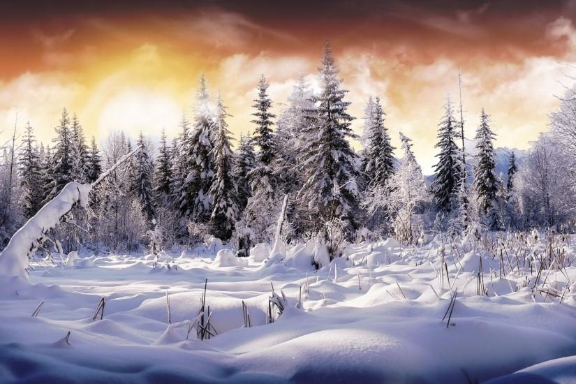 Winter Wonderland 2 HD Wallpaper | Theme Bin - Customization, HD .
