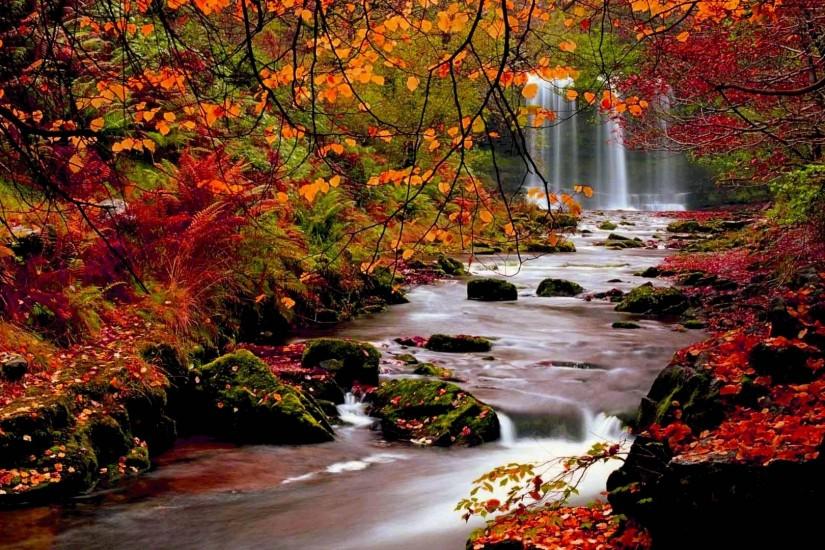beautiful fall backgrounds 1920x1080 download