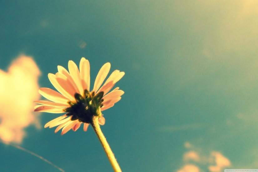 Flowers make everyday brighter ð»âï¸