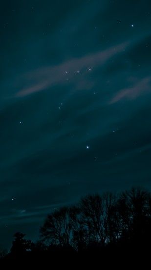 2160x3840 Wallpaper night, sky, stars, trees