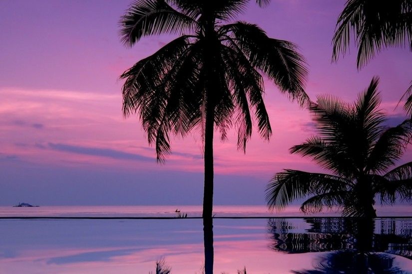 Preview wallpaper palm trees, night, silhouettes 2048x2048