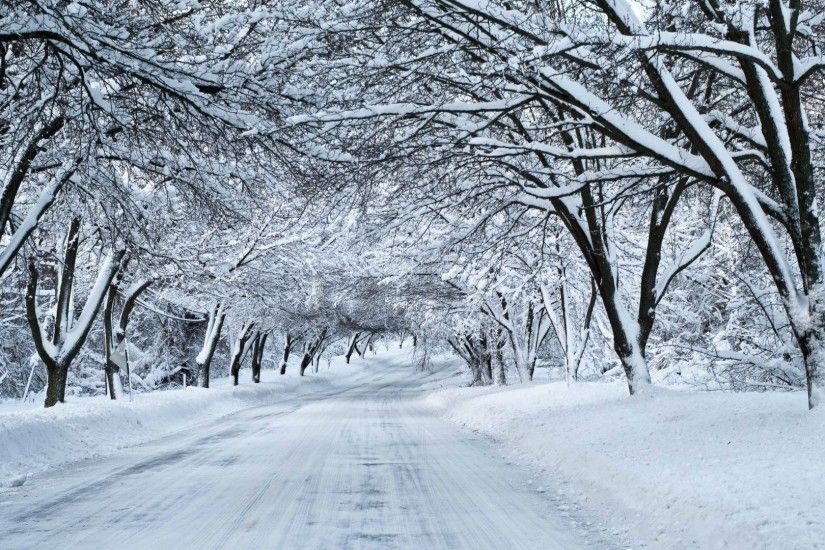 Spiritual Tag - Snow Trees Beautiful Winter Spiritual Wallpaper Pictures  for HD 16:9 High