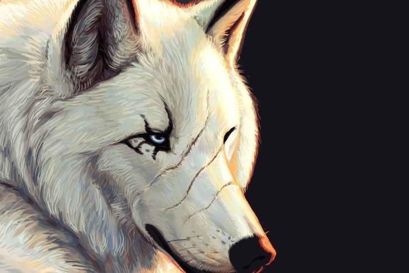 Grey Wolf Wallpaper Wolf Desktop Backgrounds