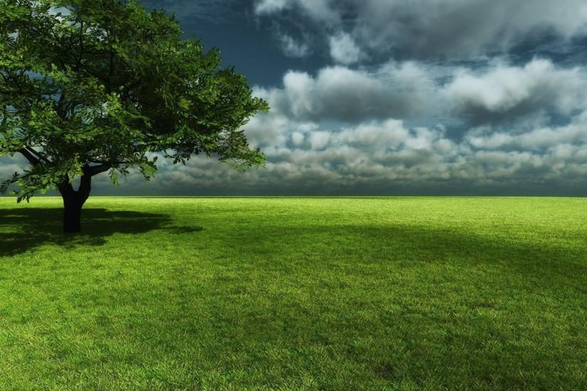 green tree with grass image