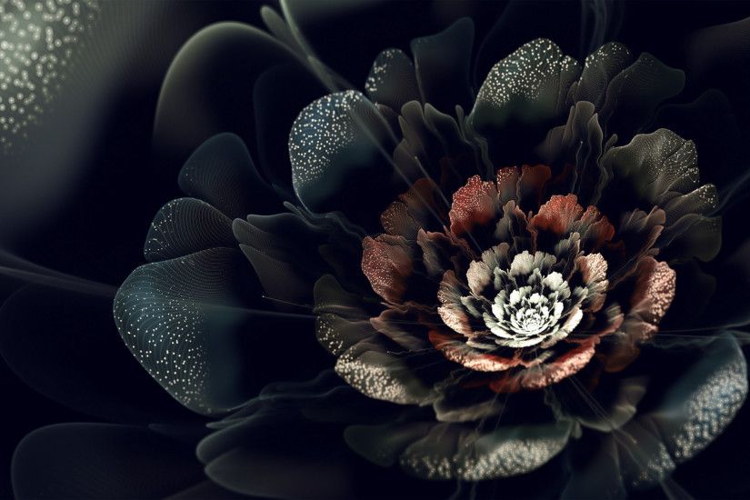Flowers Wallpaper: Black Rose Wallpaper for Desktop Background Wallpaper HD  Resolution