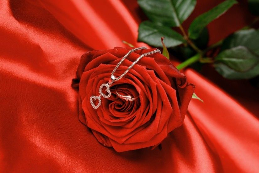 Satin Tag - Love Hearts Satin Photography Harmony Great Romantic Red Flower  Amazing Elegantly Jewelry Ring