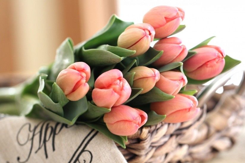 Tulip Bouquet Of Pink Tulips Wallpaper
