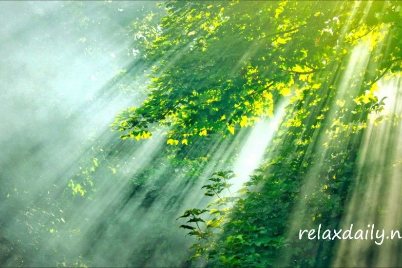 Relaxing Piano Music - work, study, meditation - relaxdaily NÂ°045 - YouTube