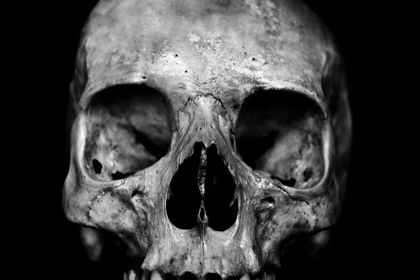 Human skull on black background.