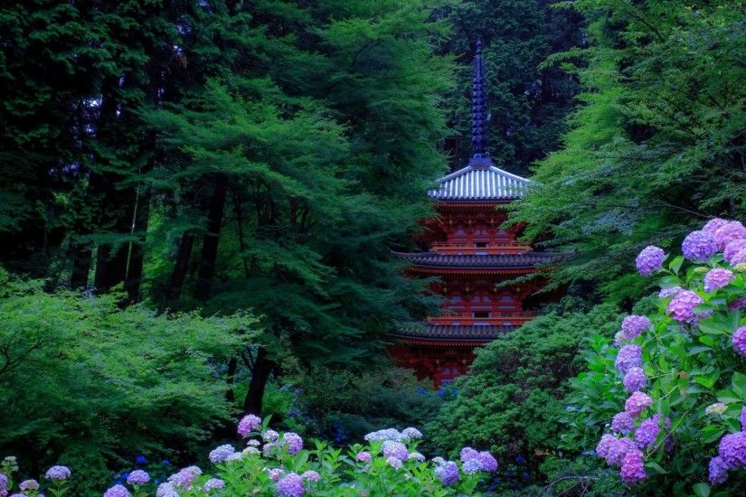 Gardens Tag - Hydrangea Nature Trees Gardens Pagodas Kyoto Japan 3d Hd  Image for HD 16