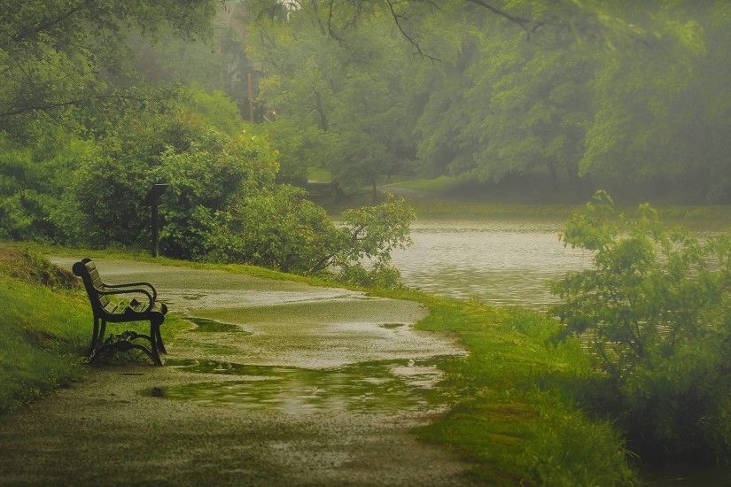 Nature rain park bench Wallpapers | Pictures