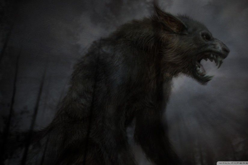 black wolf desktop background 5