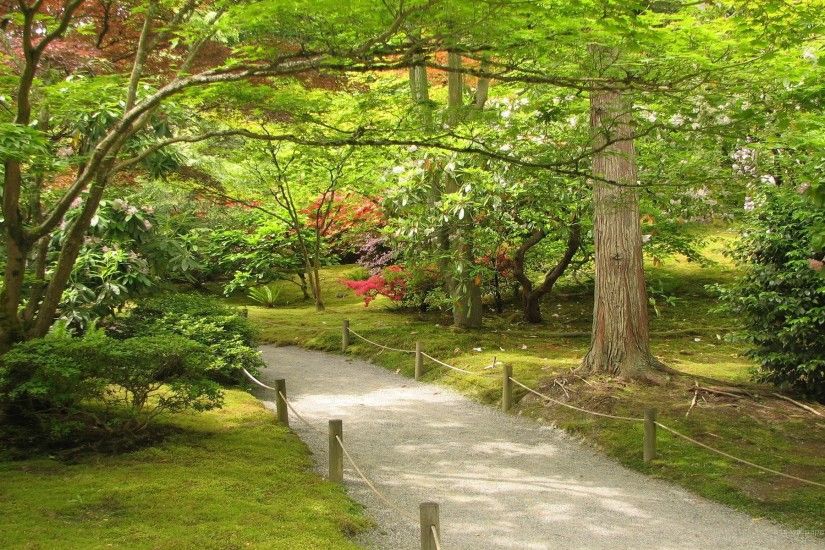 japanese garden 26316