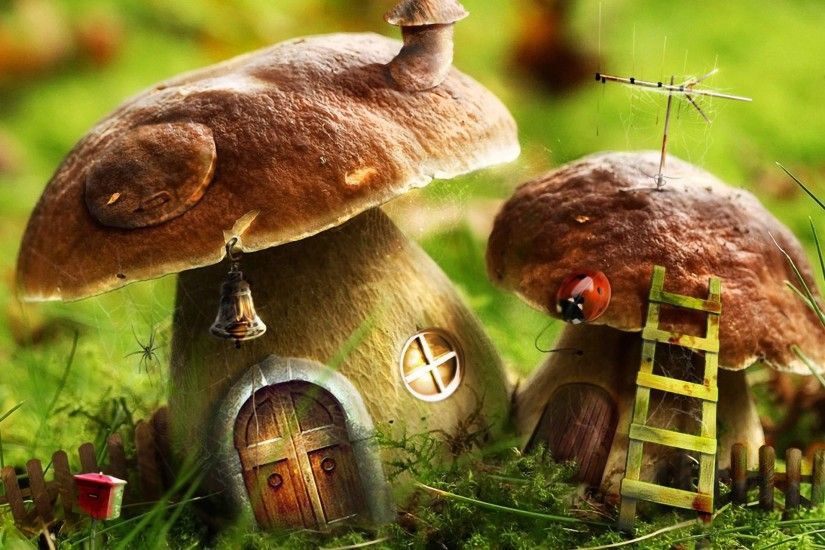 Mushrooms House Wallpaper Photo Manipulated Nature