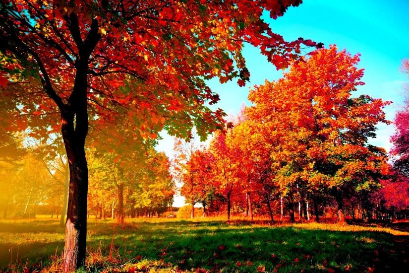 autumn background 1920x1200 hd for mobile