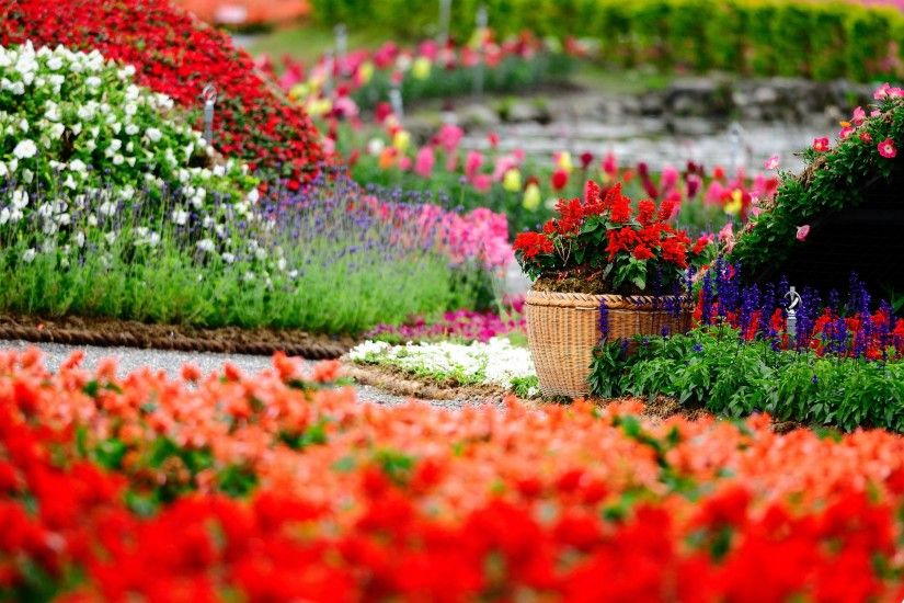 ... Background Flowers-Garden-HD-Wallpapers-free-for-desktop ...