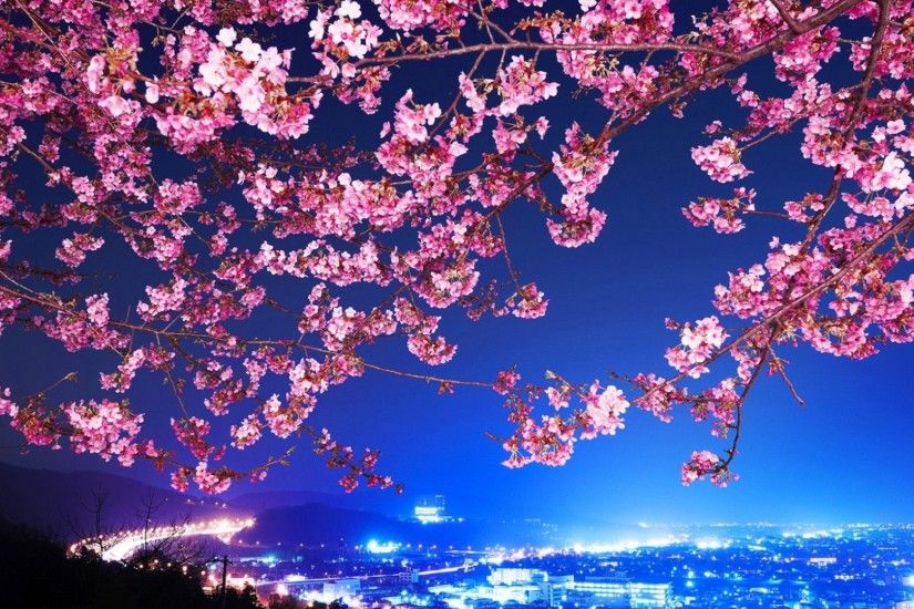 Japan City Sakura Night View HD Wallpaper