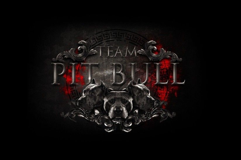 mixed martial arts pit bulls team emblem mma attractions fight club