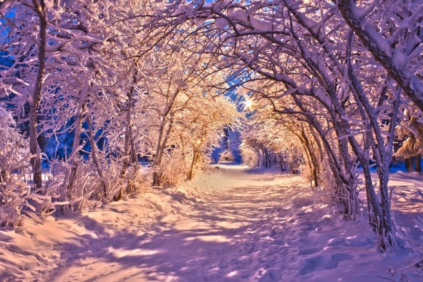 Christmas Tag - Sidewalk Nature Lights Trees Roads Tunnel Snow Winter  Landscapes White Christmas Desktop Background