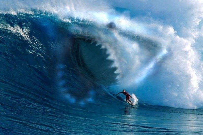 Shark Wave