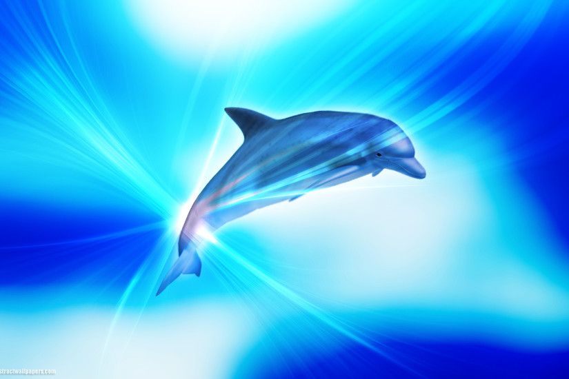 Wallpaper Water, Abstract, Animals, Dolphin HD, Picture, ...