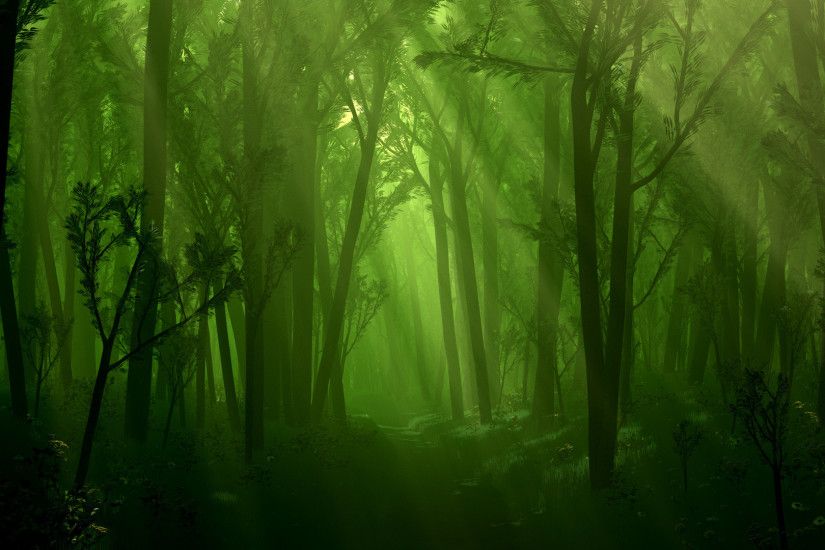 Fantasy Forest Backgrounds | Fantasy - Forest Wallpaper