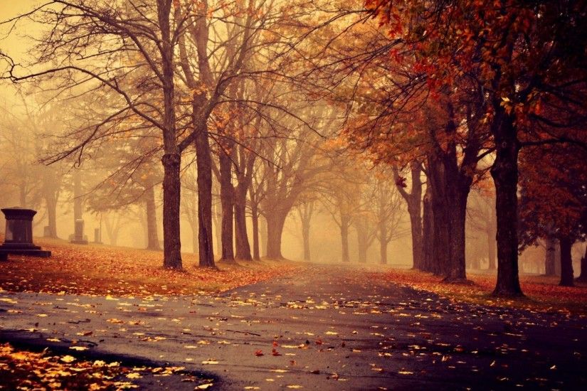 Autumn in the park Photography HD desktop wallpaper, Tree wallpaper, Park  wallpaper, Autumn wallpaper - Photography no.