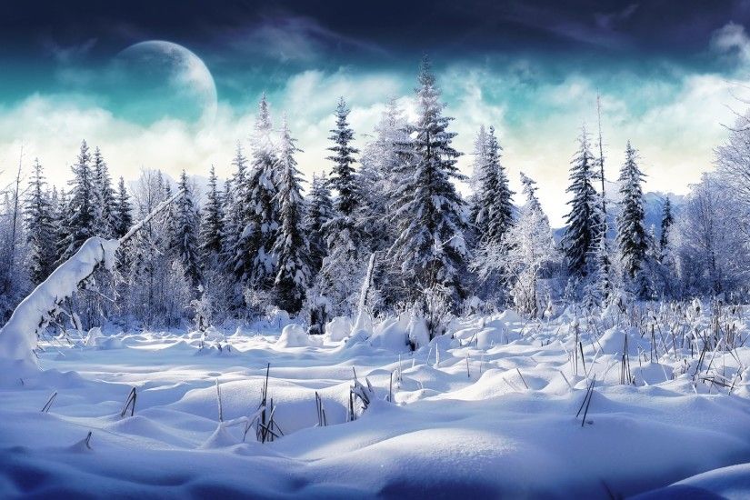 Photo Collection Winter Backgrounds 2