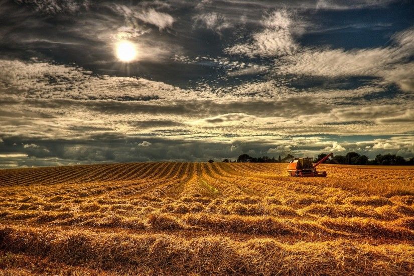 Northern Ireland England field grain harvest wallpaper background