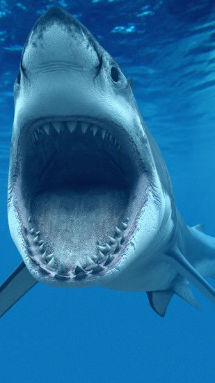 Great White Shark iPhone Wallpapers