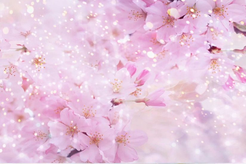 Pink Flowers - Abstract Wedding Background 01 Stock Video Footage -  VideoBlocks