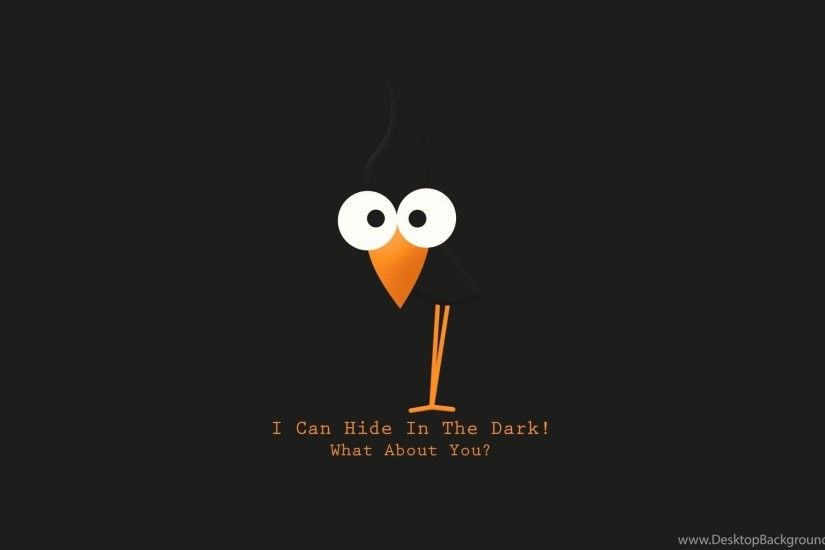 Bird text funny hd wallpapers