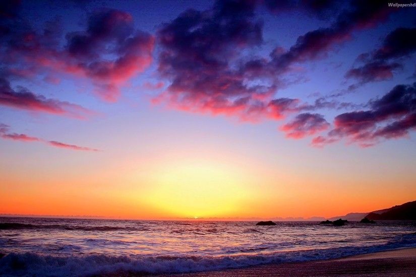 2560x1600 Bird silhouettes in the beach sunset wallpaper, Bird silhouettes  in the beach sunset Beach HD desktop wallpaper