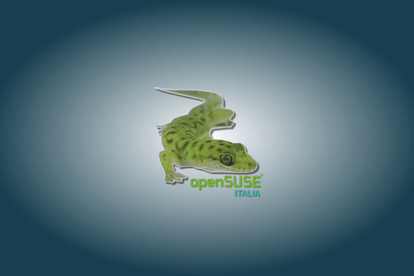 By openSUSE ITALIA. By IvoErMejo