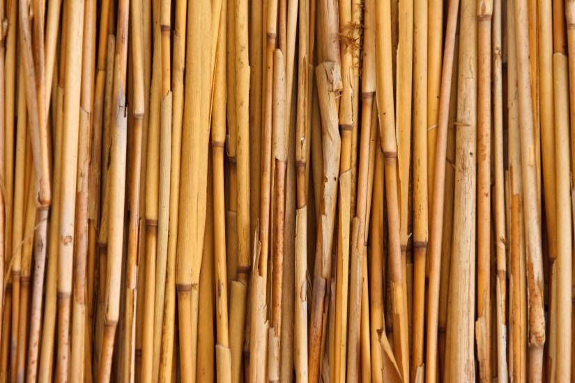 amazing bamboo background 1920x1280 for full hd