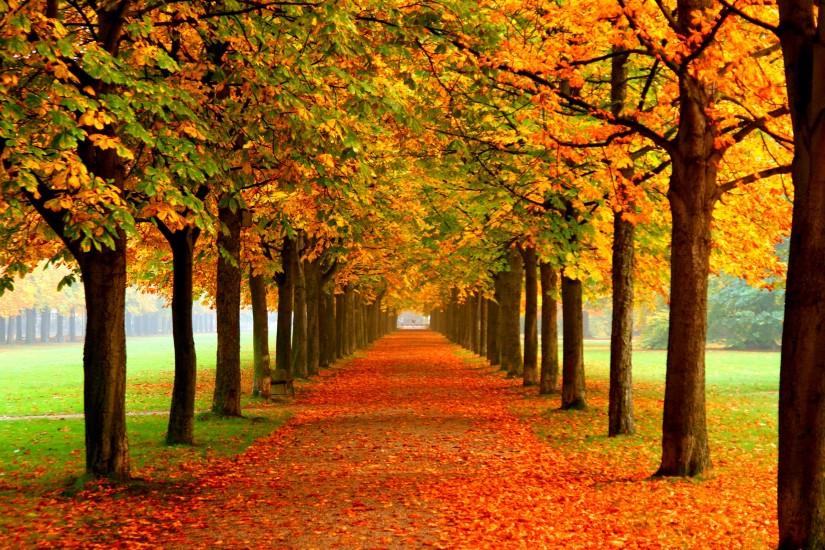 Autumn Free Wallpaper - Autumn Colors Wallpapers - HD Wallpapers 93076