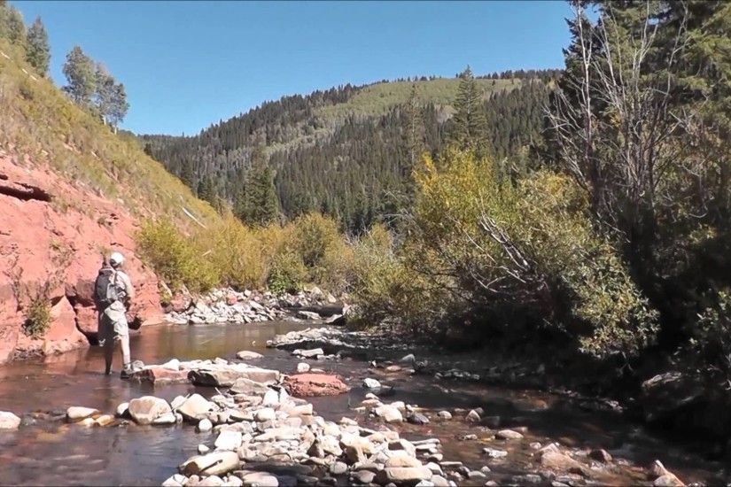 SW Colorado Fly-Fishing Trip On A Dolores River Tributary Near Telluride -  YouTube