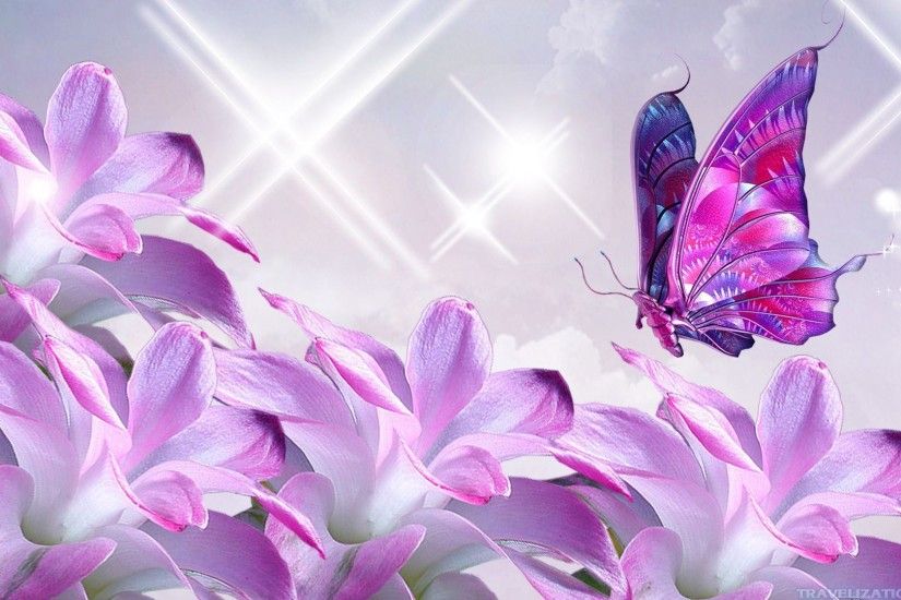 pin Purple Flower clipart butterfly wallpaper #9