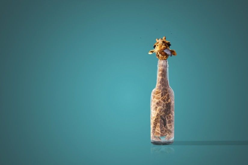 Animal - Giraffe Humor Funny Wallpaper