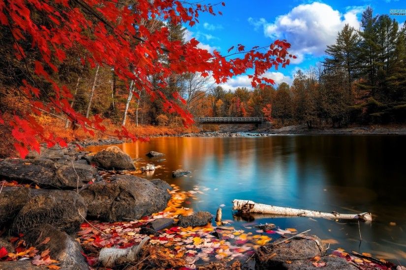 Fall Autumn Park Desktop Wallpaper - HD Wallpapers ...