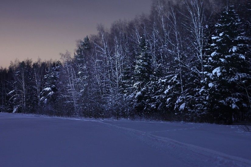 3840x2160 Wallpaper field, trees, snow, winter, night