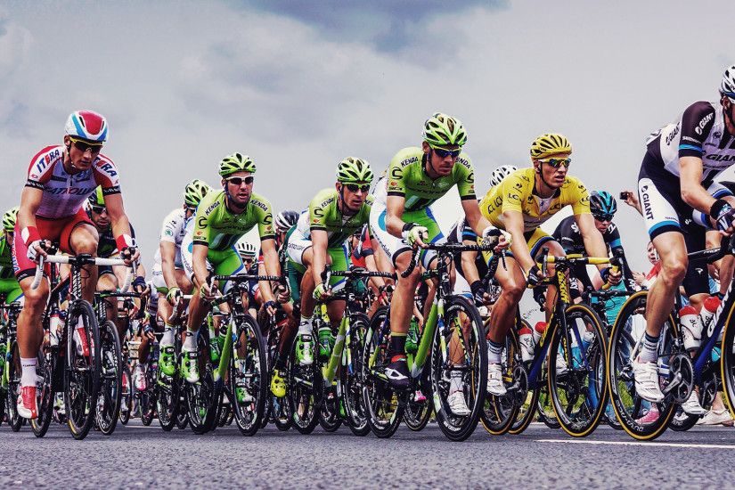 Cyclists compete in the 2014 Tour de France.