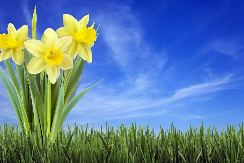 top spring backgrounds 1920x1200