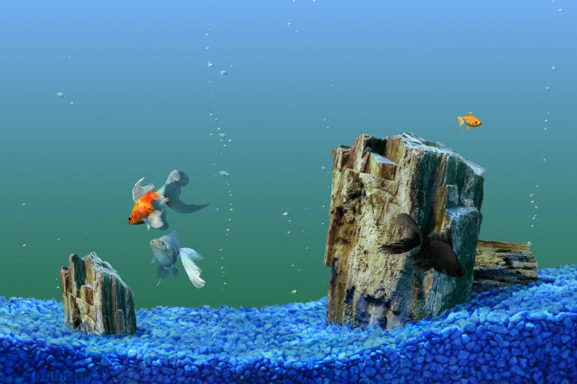 Animated Fish Tank Background