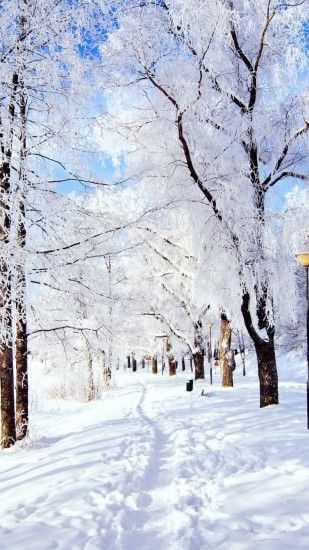 Beautiful and Free Winter Wallpapers for Your Desktop