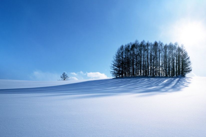 Winter scenery HD pictures Computer.