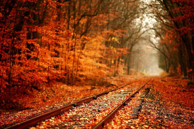 free road autumn wallpapers hd 1080 full hd desktop images windows 10  backgrounds amazing colourful 4k download wallpapers hi res 1920Ã1080  Wallpaper HD