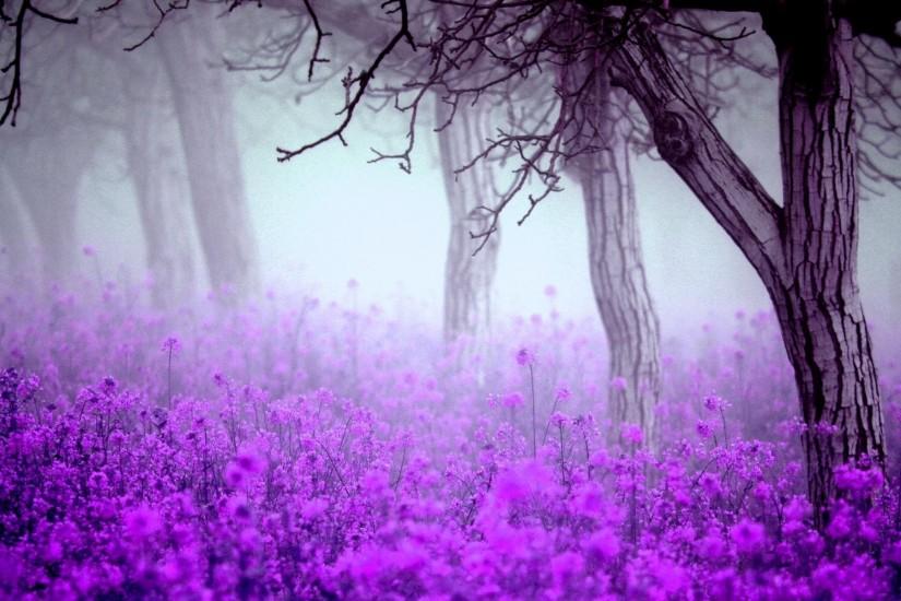 Forest Purple Flowers Wallpaper Wide or HD | Flowers Wallpapers