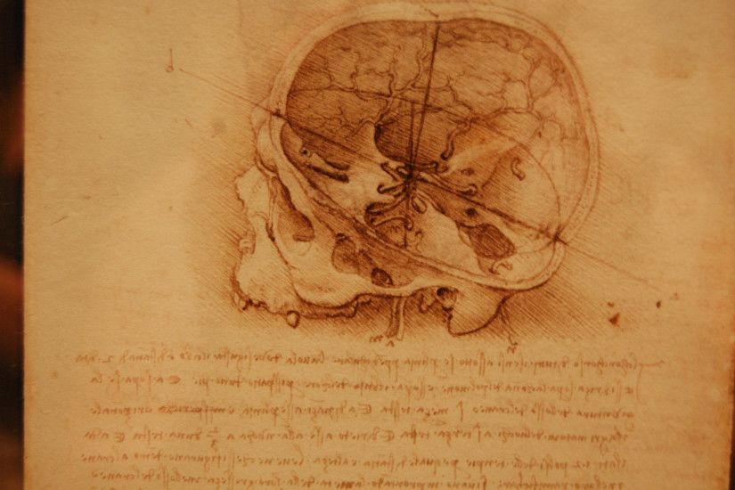 ... Da Vinci's Anatomical Drawings V by roony-of-the-wood