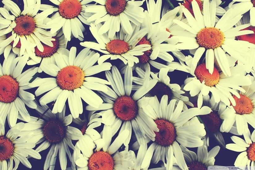 Vintage Flowers High Quality Wallpapers